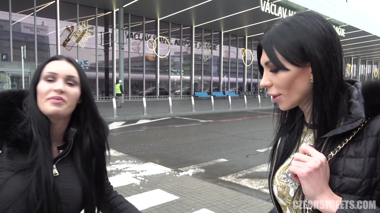 チェコの街 - ディックスとひよこ