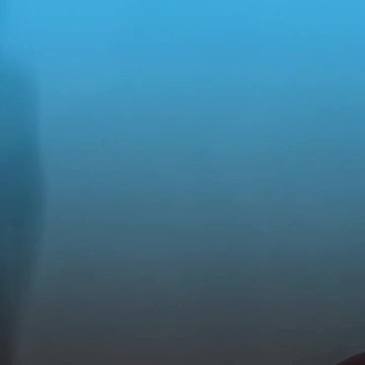 Excellent Blowjob