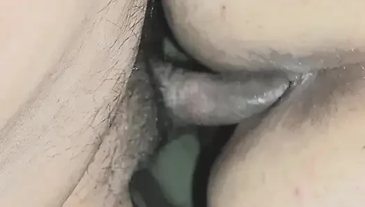 Domaltarak