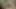 Dik bbw gösterileri kapalı ona delikler