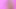 Nicolette Shea Pornstar Cum Tribute for booblaa25