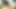 Sie schiebt sich Vibrator, Gurke und Karotte gleichzeitig rein