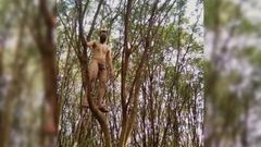 Escalando el árbol desnudo
