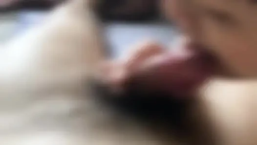 Fellatio koleksiyonu