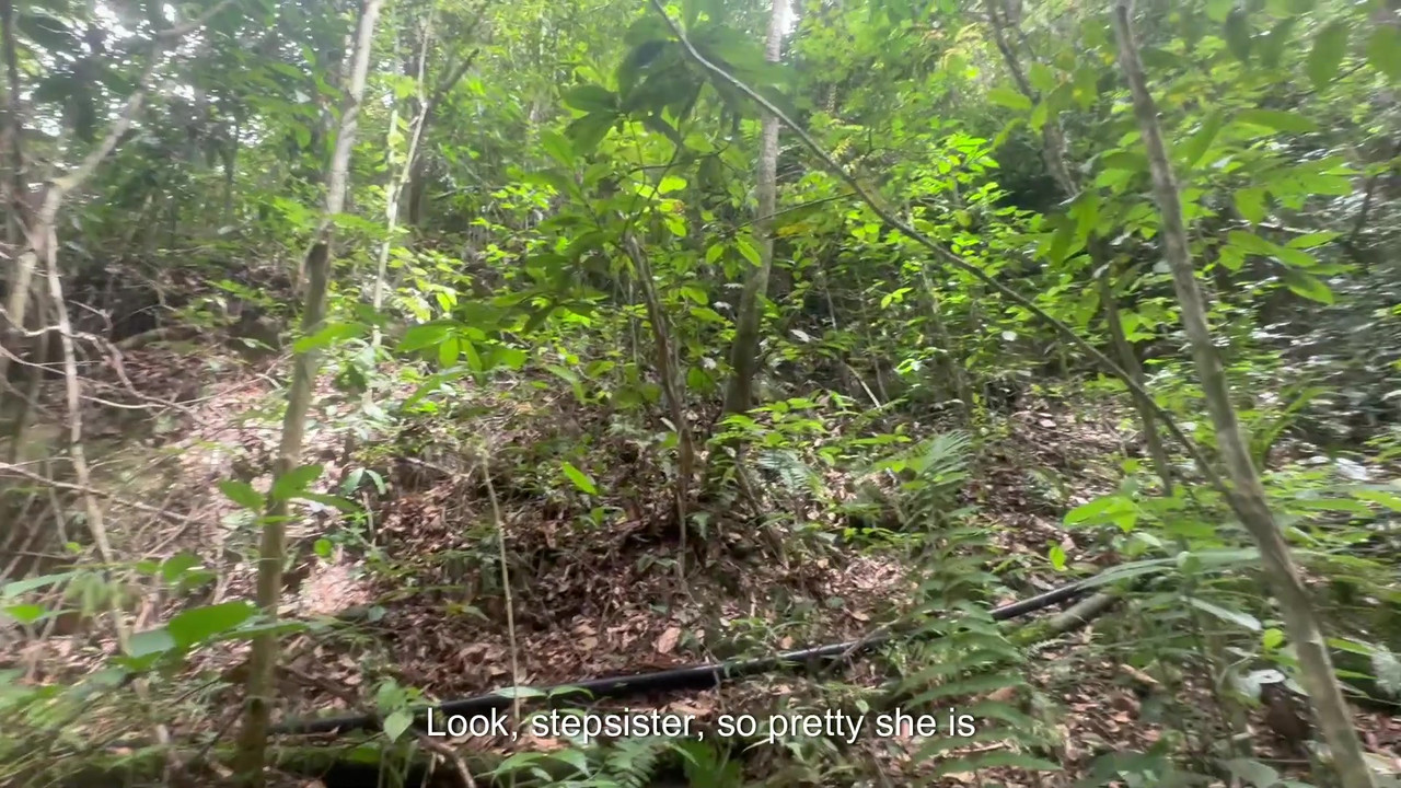 我和害羞的继妹一起去树林里徒步旅行，最后我们狠狠地操逼，直到我射在她的屁股上