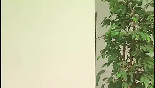 Sevimli esmer ile yüzme havuzunun yanında açık havada sikişiyor