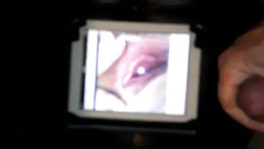 Bayan pod haraç