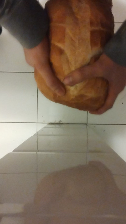 Fuckin loaf of breast top