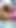 Powerful moment from "Indian hot bahabi and Dewar doggy style xnxx in the jungle 29766"