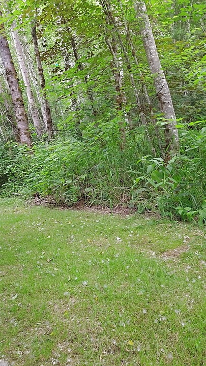 Hitting The Trail Nude