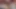 Tiktoktan Bellebee bebek ve onlyfans kıçından becerdin alır