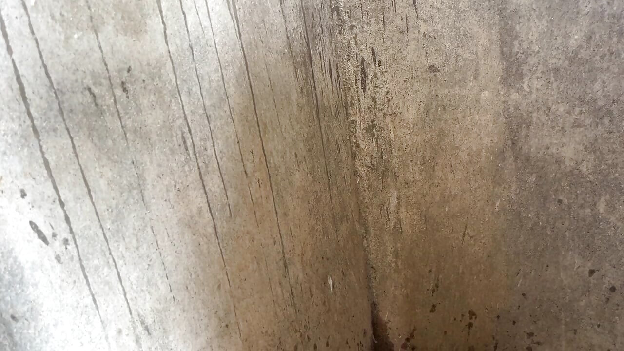 Video hindi xxx en el baño