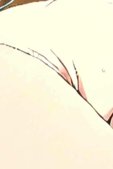 One Piece Vivi(12) Hen