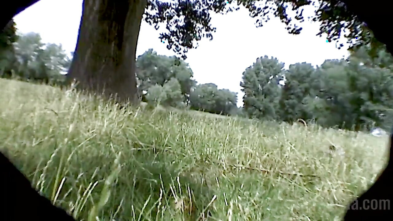 Vis mig din behårede kusse