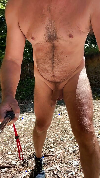 Walk in the forest