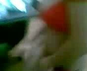 faceden