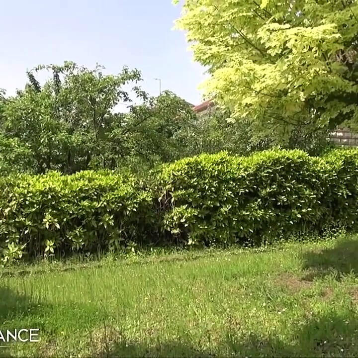 This milf bitch loves getting anal fucked and jizzed