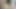 Gaping hairy ftm cunt and ass DP with dildos