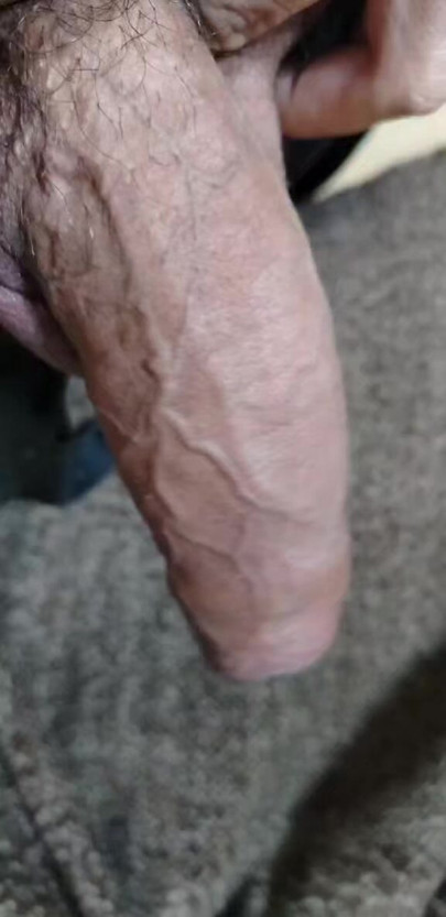 Verga, single, maduro