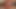 Dickgirls 3D Action