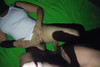 Pregled videozapisa