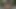 jakuzide dm