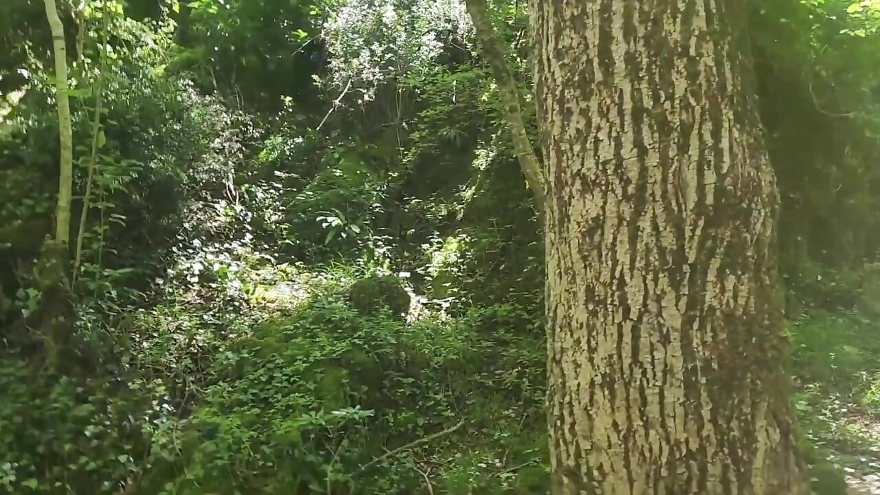 I Love Getting Fucked Outdoors