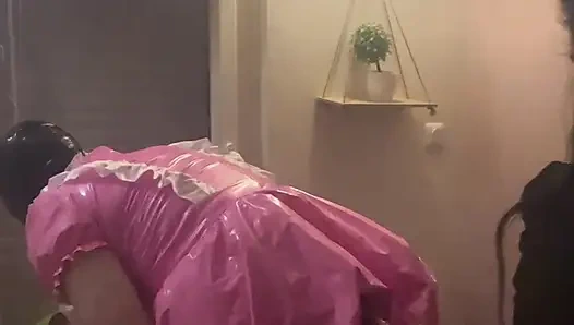 Disziplinarische Haushaltsführung