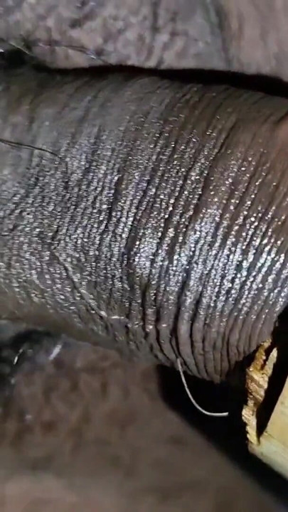 Indian Teen Boy Fucks a Bamboo Hole For enjoyment and Pours lot of cum inside it | Clip 1