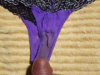 cumming on black and purple panties