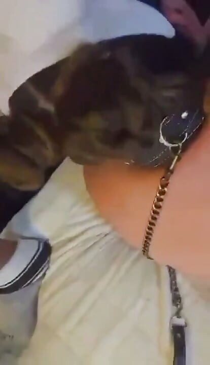 BBC Facefucks BBW Finishes with Creampie in Ass and Pussy