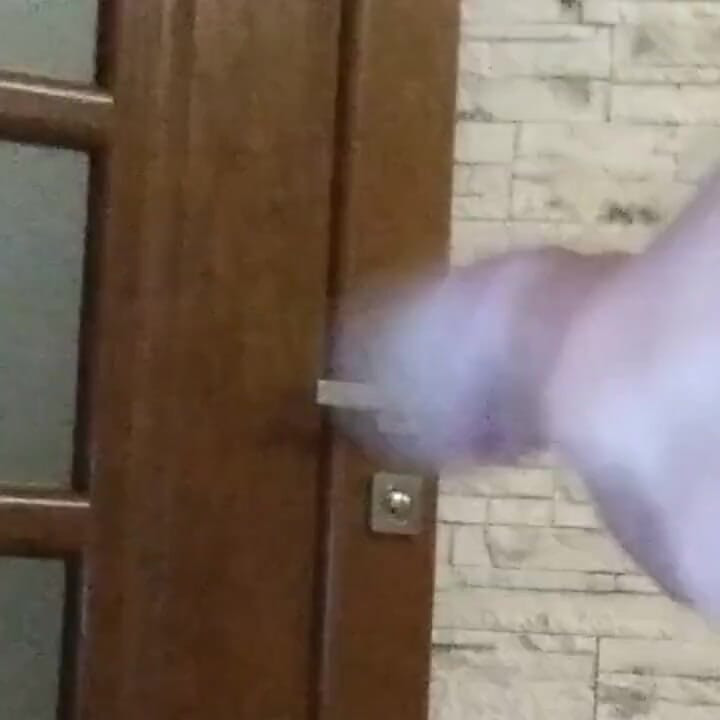 Third close-up blowjob from mother-in-law today