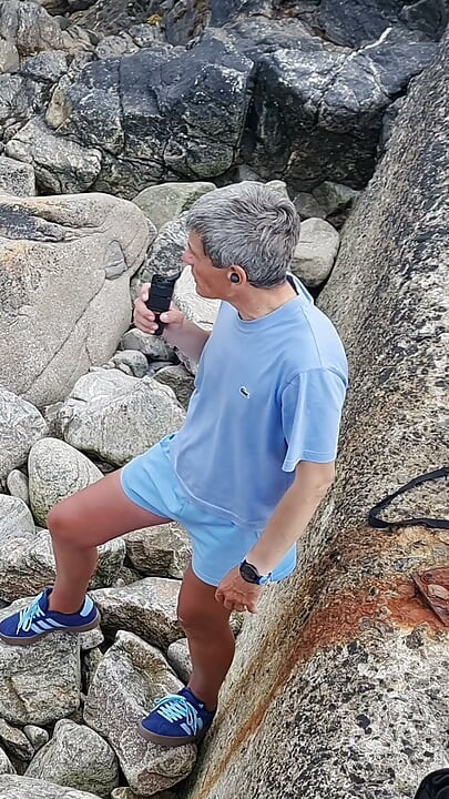 Nincs puha farkú mikropénisz