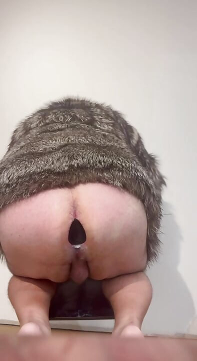 FUR AND PLUG