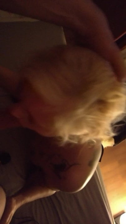 blasen2