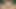 pov seksi kız arkadaş şehvetli emme ve sürme üzerinde horoz