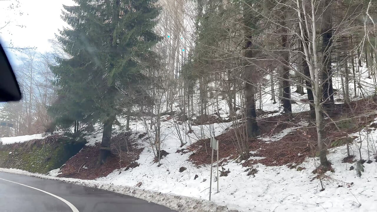 Escapade in het bos met stiefzus, ze neukt mijn lul in de auto
