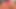 Big Clit Close-Up Playing - SNC