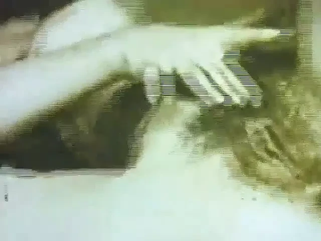 Камшоты John Holmes