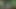 البقاء