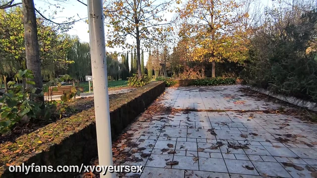I pull out my cock in front people in the public park Flash