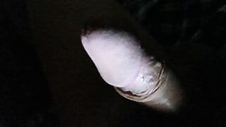 Nachtelijke stemming penis
