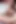 Lily Lane Vs Sophia Locke Orgasm Challenge