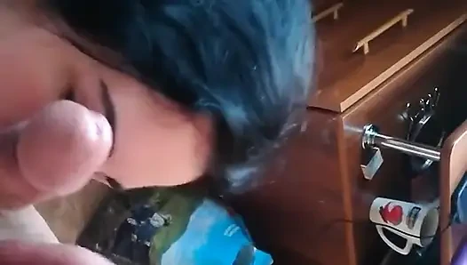 Great Homemade Blowjob From a Pretty Amateur