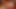 アンナ エキサイティングな愛情アップデート 77