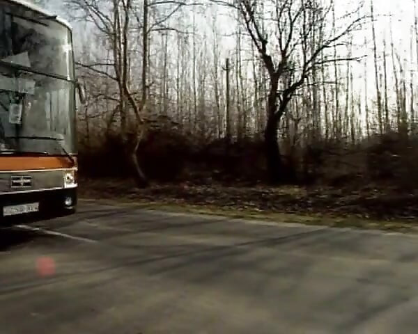 This French Babe Got Anal Fucked in Bus