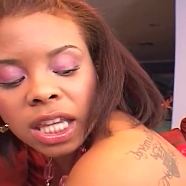Young Black Chick Hard Banged by Horny Big Black Cock