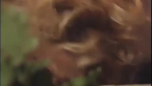 Big cock tattooed guy loves the pussy