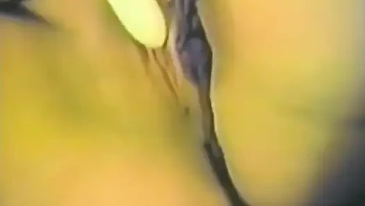 Schwanger, geil und squirting