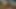 Amazing Sex with Indian xx hot Bhabhi at home! Hindi audio, full hindi dirty audio sex, tight pussy big cock full fucked